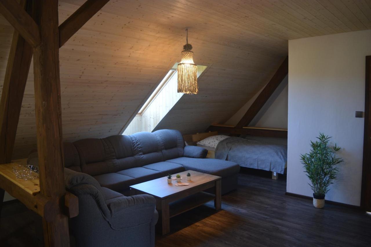 Penzion Kota 509 Janovice  Екстер'єр фото